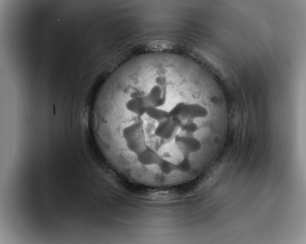 X0000091640315200709201113