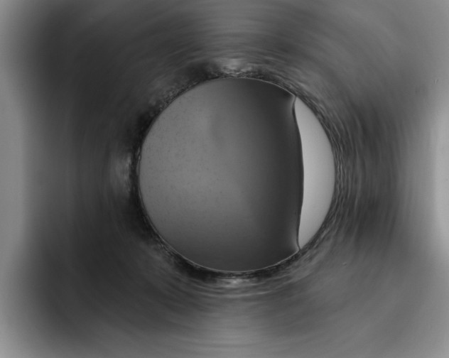 X0000091640319200709201113