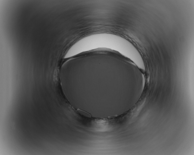 X0000091640325200709201113