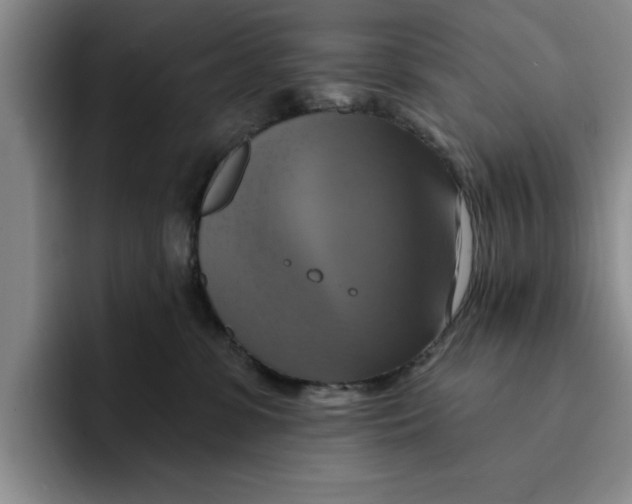 X0000091640331200709201113