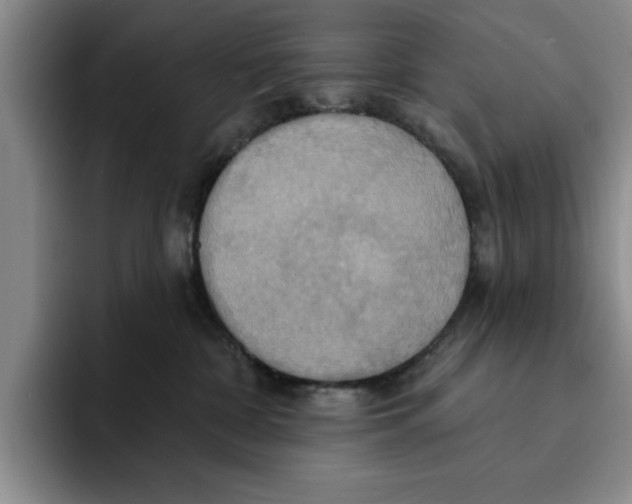 X0000091640332200709201113