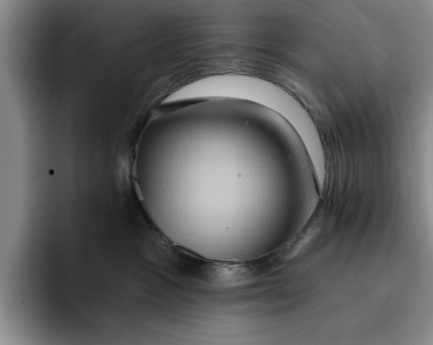 X0000091640333200709201113