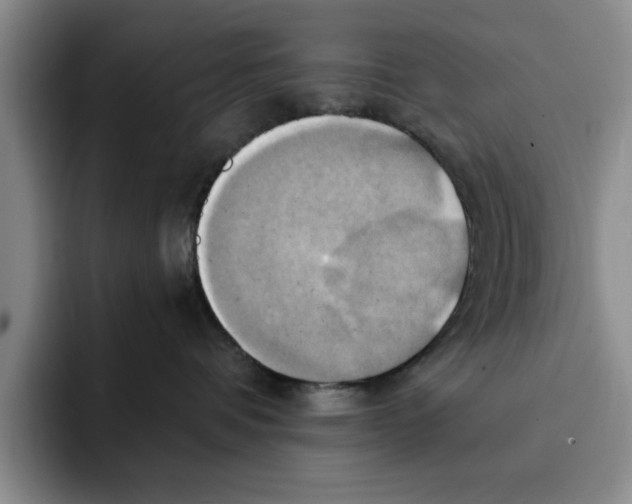 X0000091640336200709201112