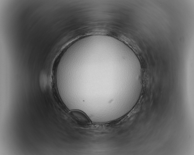 X0000091640338200709201112