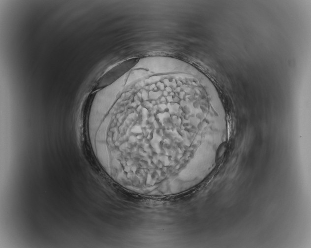 X0000091640339200709201112