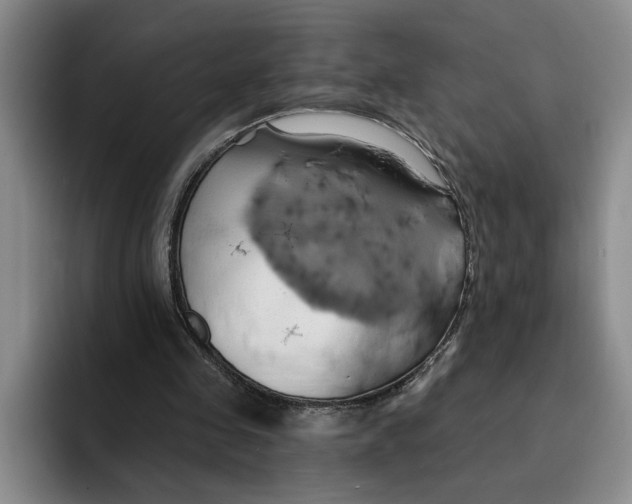 X0000091640341200709201112