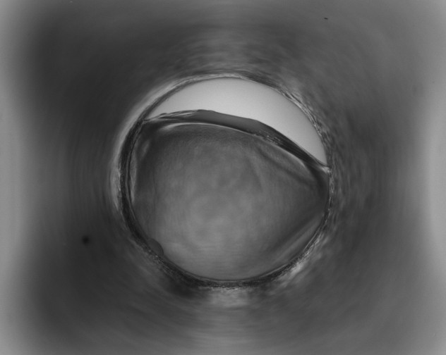 X0000091640342200709201112