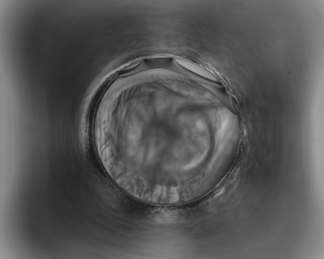 X0000091640343200709201112