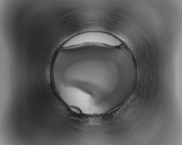 X0000091640345200709201112