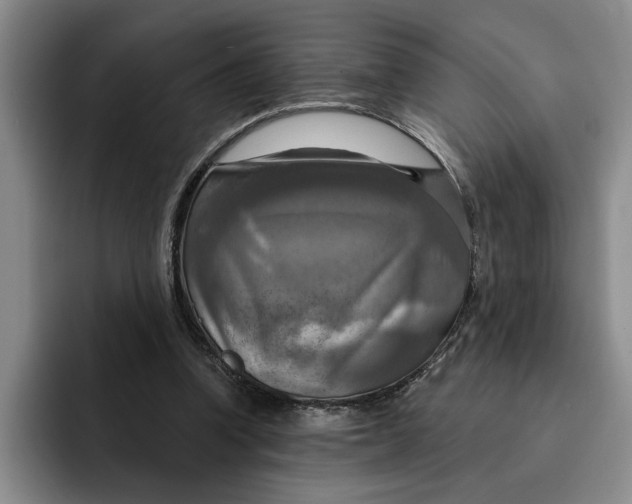 X0000091640346200709201112