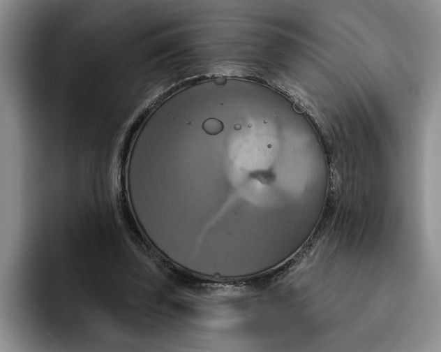 X0000091640347200709201112