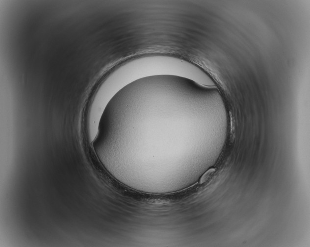 X0000091640348200709201112