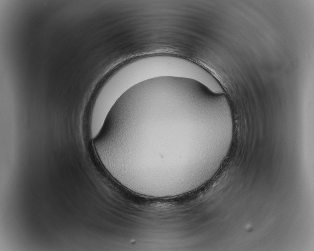 X0000091640350200709201112