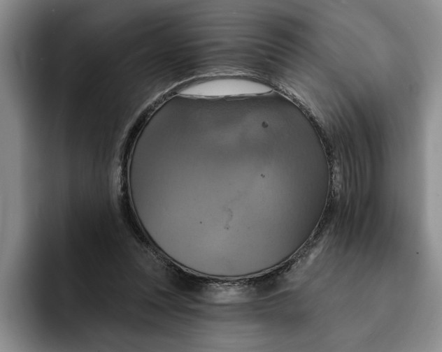 X0000091640351200709201112