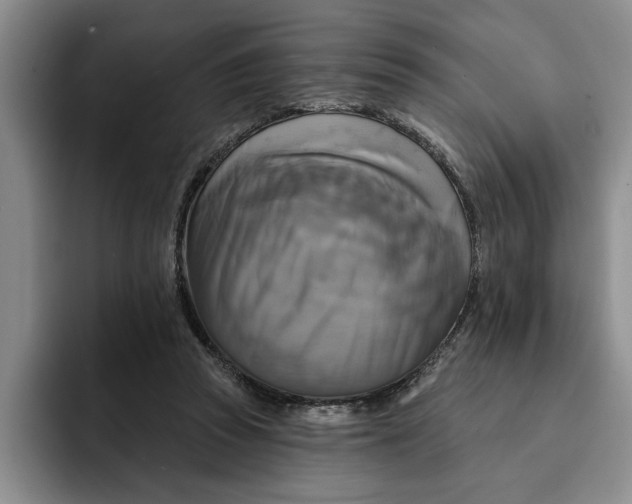 X0000091640353200709201112