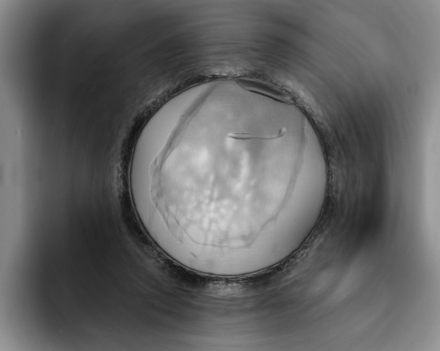 X0000091640354200709201112