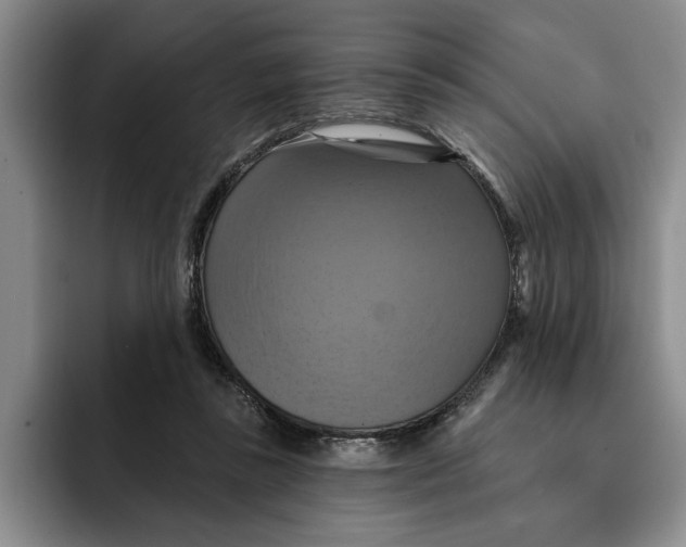 X0000091640355200709201112