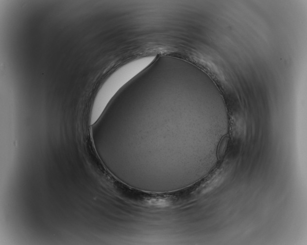 X0000091640358200709201112