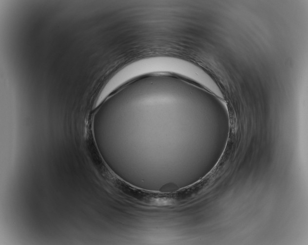 X0000091640360200709201112