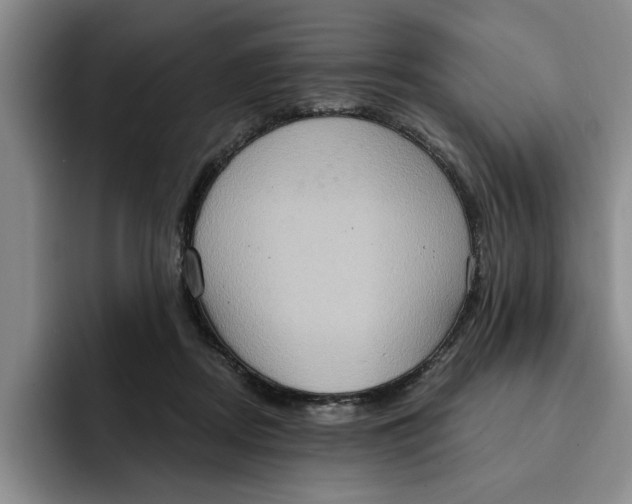 X0000091640362200709201112