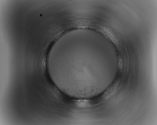 X0000091640363200709201112