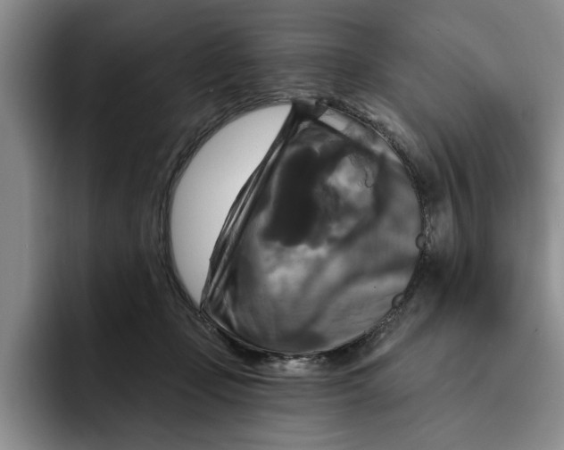 X0000091640365200709201112