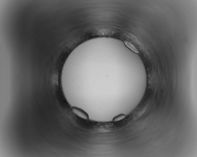 X0000091640368200709201112