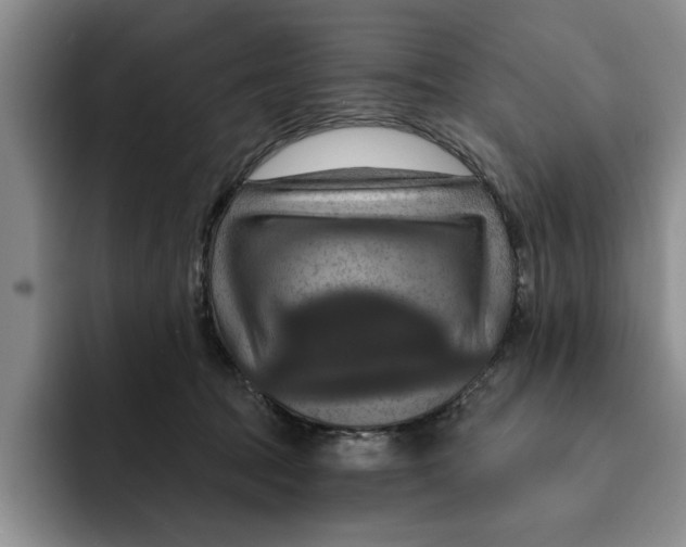 X0000091640369200709201112