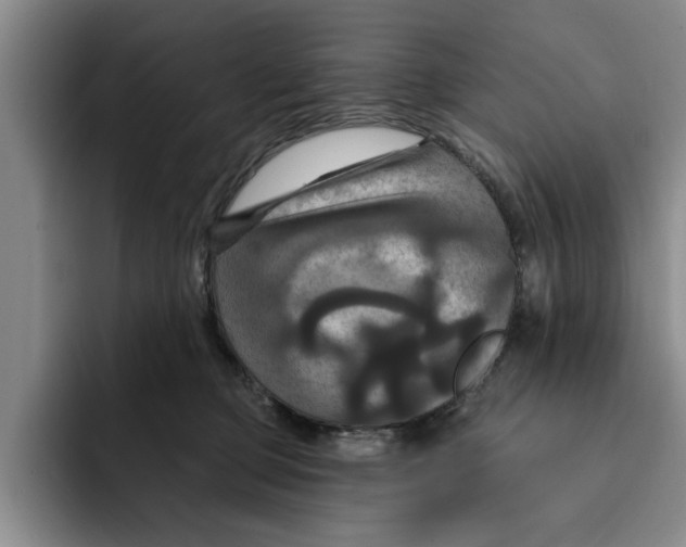 X0000091640373200709201112