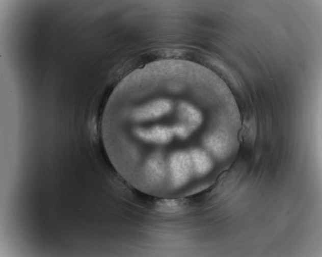 X0000091640381200709201112