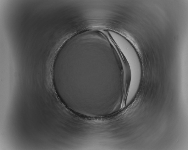 X0000091640385200709201112