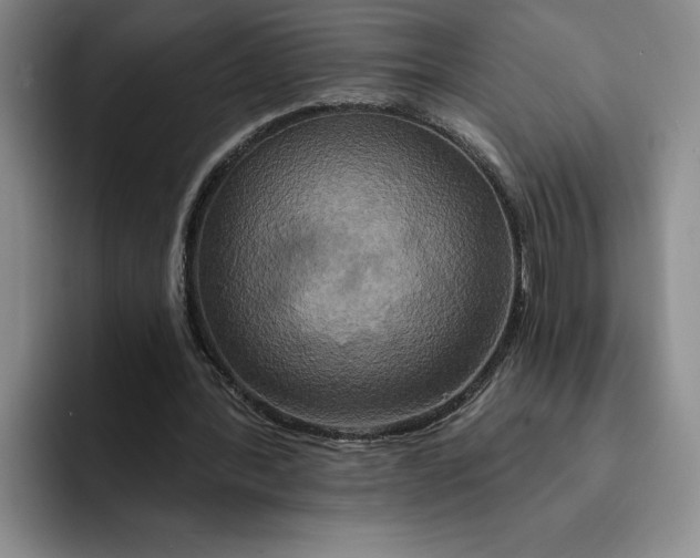 X0000091640388200709201112