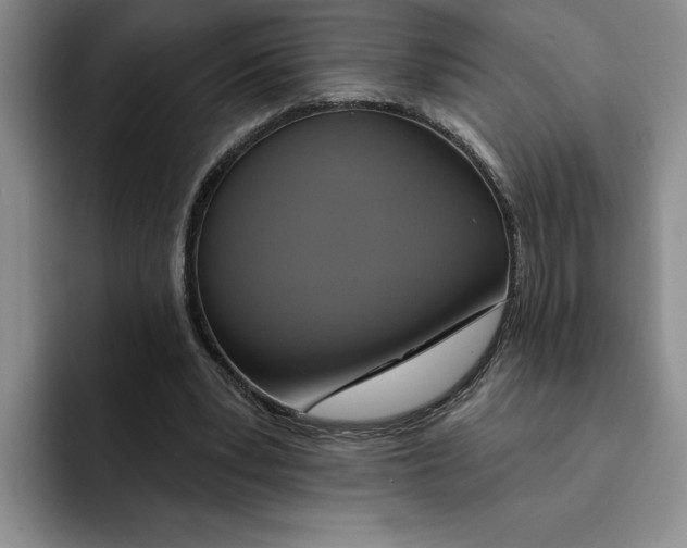 X0000091640391200709201112