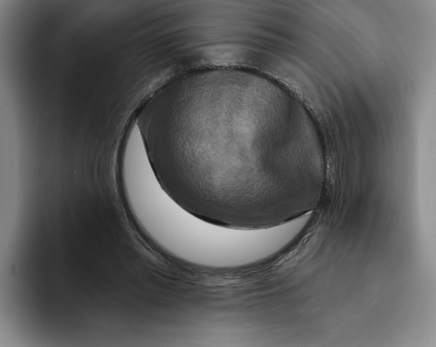 X0000091640397200709201112