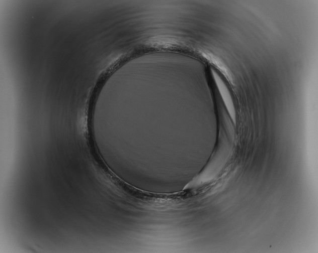 X0000091640399200709201112