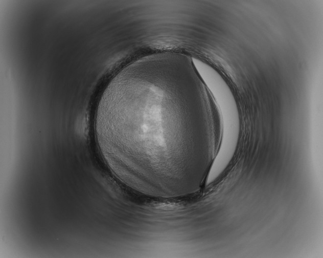 X0000091640400200709201112