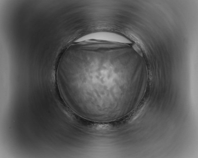 X0000091640401200709201112