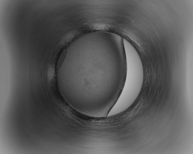 X0000091640407200709201112