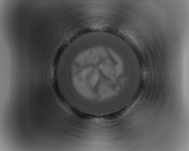 X0000091640408200709201112