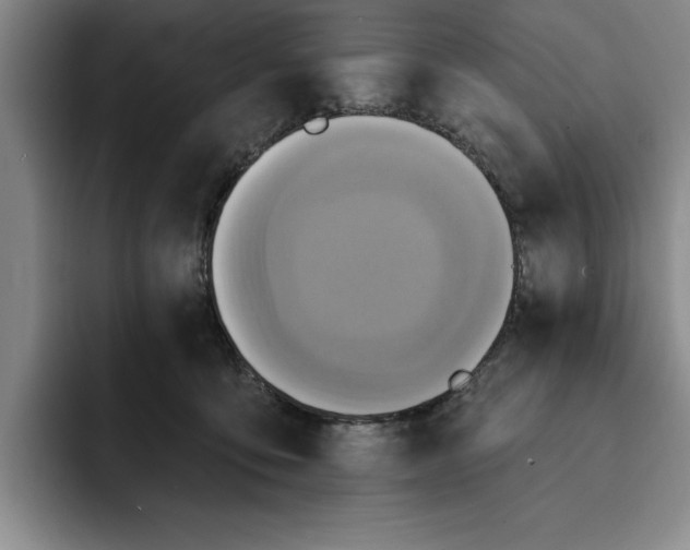 X0000091640419200709201112