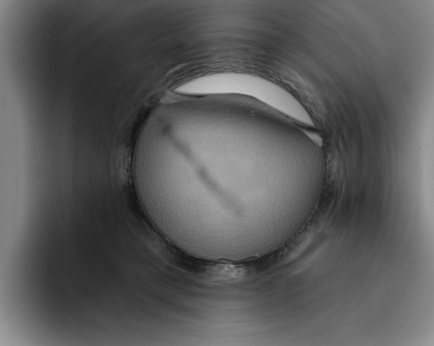 X0000091640421200709201111