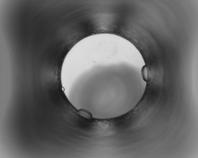 X0000091640423200709201111