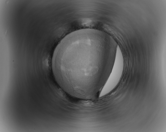 X0000091640424200709201111