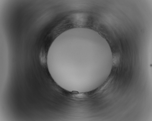 X0000091640431200709201111