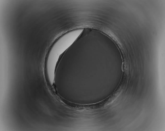 X0000091640434200709201111