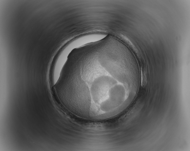 X0000091640435200709201111
