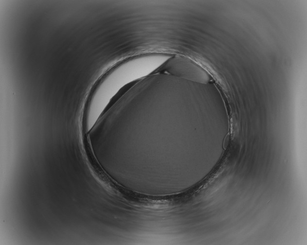 X0000091640438200709201111