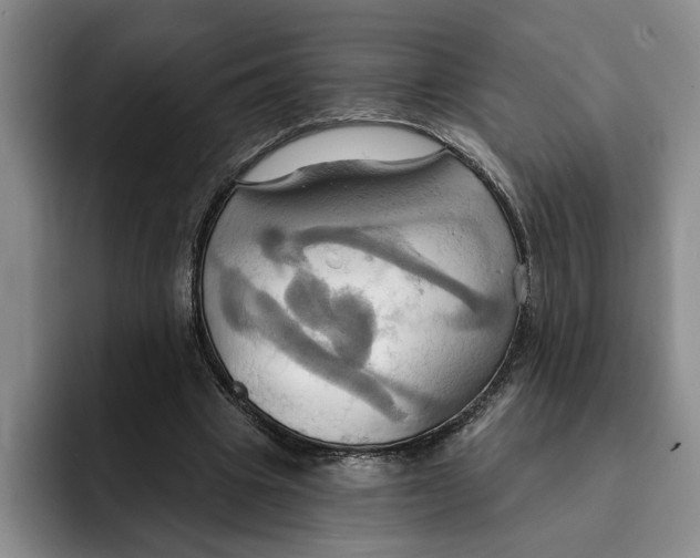 X0000091640441200709201111