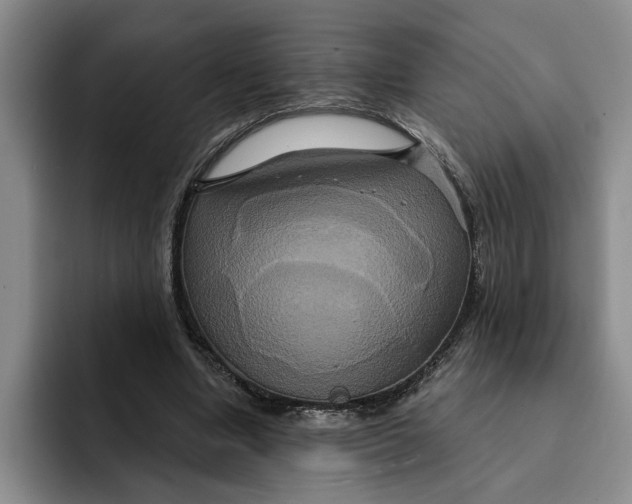 X0000091640442200709201111