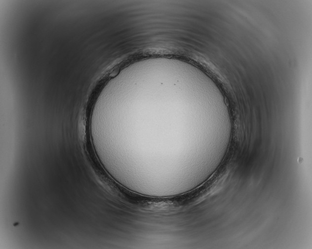 X0000091640446200709201111